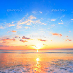 好きになっていいかな