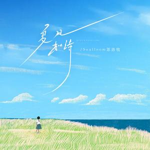 夏风如诗