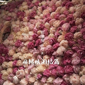 恋爱轨迹(正式版)