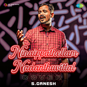 Ninaippathellam Nadanthuvittal - Cover