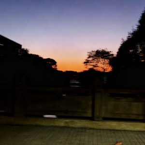 凰书的即兴ST + 平卷弦 + 失真