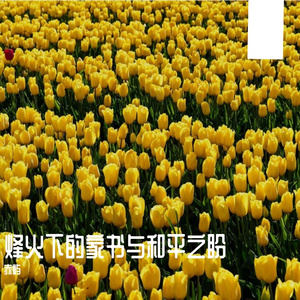 烽火下的家书与和平之盼