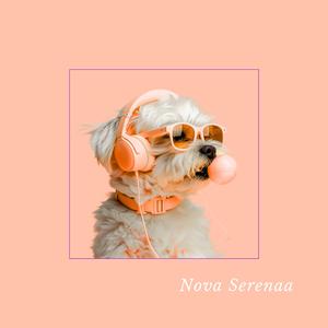 Moonlight Under Blanket