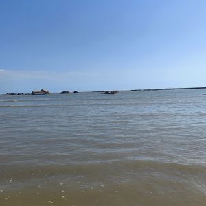 红豆_203556_203600_track0_203600