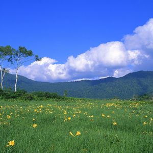 我的天空