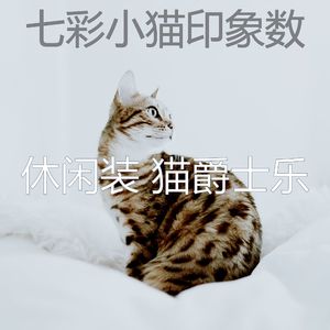 温和小猫梦想