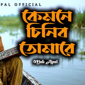 কেমনে চিনিব তোমারে (Piano Version)