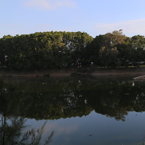 Dream and variations: I desired always to stretch the night and fill it fuller & fuller of dreams