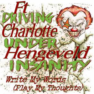 Write My Words (Play My Thoughts) (feat. Charlotte Hengeveld)