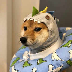 轻音乐