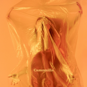 Camomilla