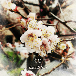 꽃잎 (Vocal 왕거친파도)