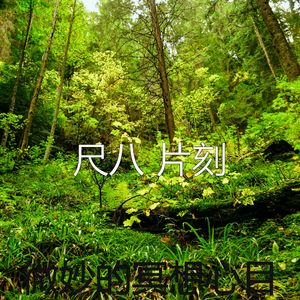 抚慰的回春回忆