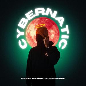 Cybernatic