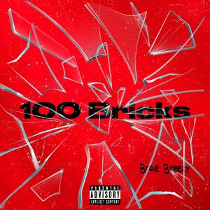 100 Bricks