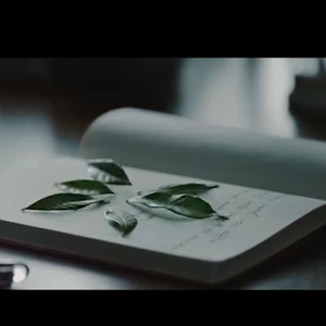 信（星际 Cover）