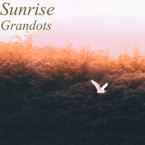 Random Flow (Instrumental)