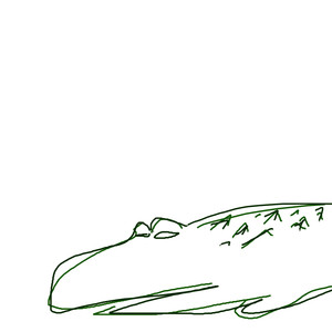 ボートを追いかけるワニ 2