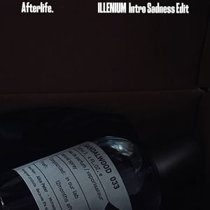 afterlife（DestinatioN & OnEGraY安 INTRO EDIT）