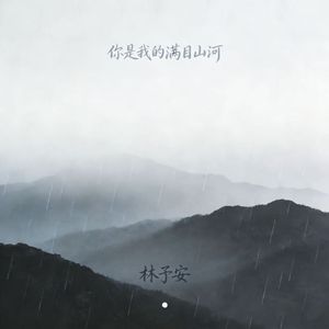 你是我的满目山河