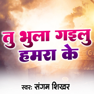 Tu Bhula Gailu Hamra Ke