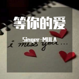 等你的爱