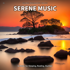 Serene Music, Pt. 41