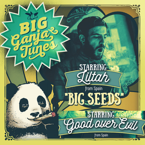 Big Seeds