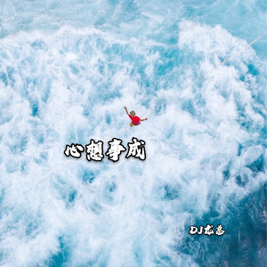 兵来将挡水来土掩 (DJ版)