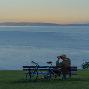 《假如爱有天意》