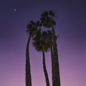 梁山伯与茱丽叶（甜妹版）