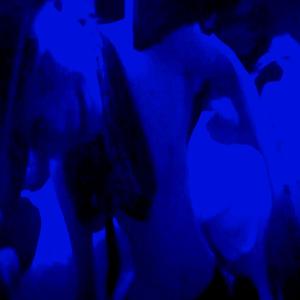 Crew (feat. Tanisko Shest)