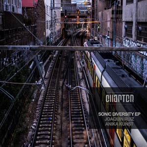 Sonic Diversity (Original Mix)