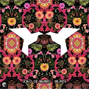 João de Barro (Remix)
