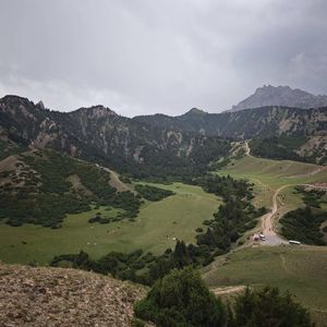 总是想起你_不会杨