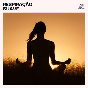 Metta Fluxo