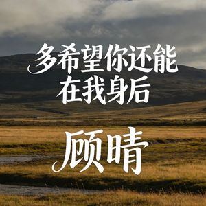 多希望你还能在我身后