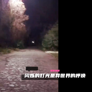 闪烁的灯光是异世界的呼唤 (怪奇物语)