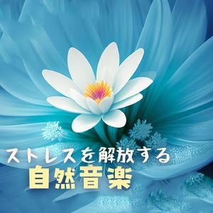 お風呂半身浴リフレッシュ