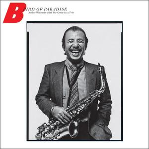 If I Should Lose You