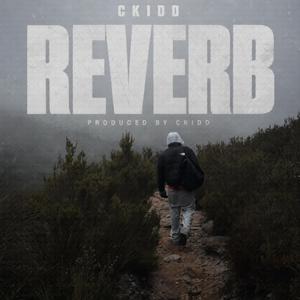 REVERB