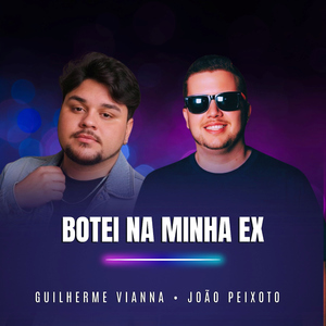 Botei na Minha Ex
