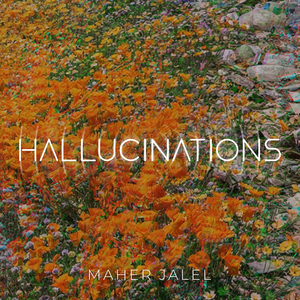 Hallucinations