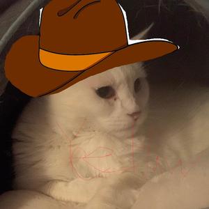 Palid Lips (Yee Haw Im a cowboy)