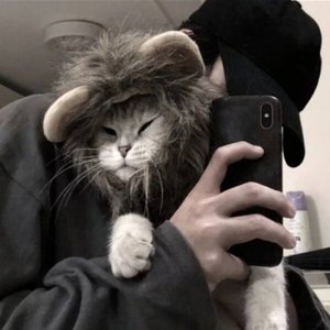 “后来的我们，只活在共同好友的听说里”