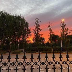 多情种（抖音最火片段女声版）