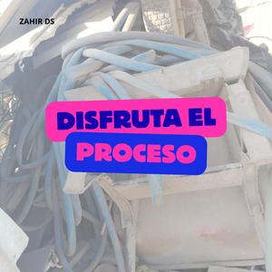DISFRUTA EL PROCESO