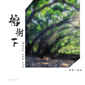 榕树下
