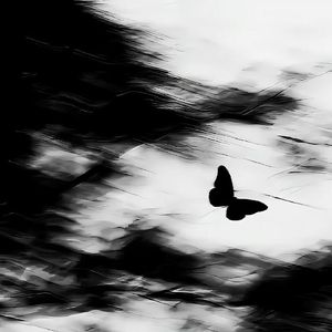 换种方式陪伴你