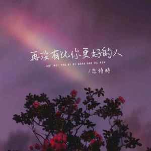 再没有比你更好的人